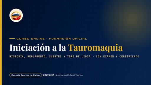Curso de Iniciación a la Tauromaquia (Online)